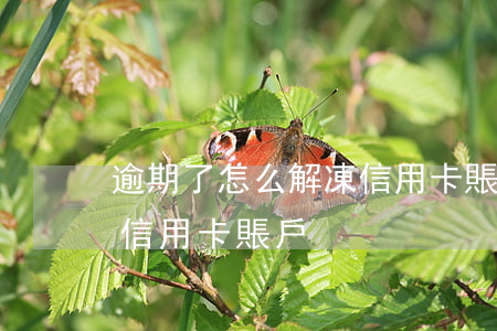 逾期了怎么解凍信用卡賬戶(逾期了怎么解凍信用卡賬戶)