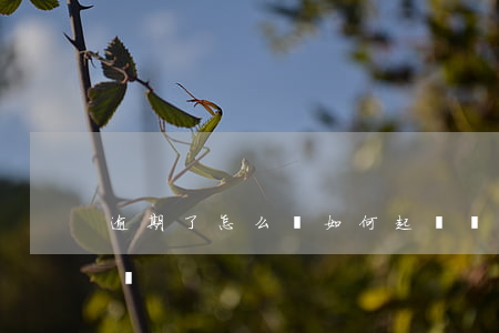 逾期了怎么辦如何起訴(貸款逾期起訴了怎么辦)