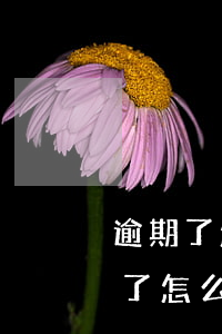 逾期了怎么辦怎么協(xié)商還款(逾期了怎么協(xié)商還款?)