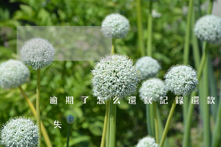 逾期了怎么還款記錄 還款后逾期記錄多久消失
