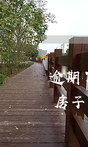 逾期了怎么還能貸款買房(逾期過還能貸款買房子嗎)