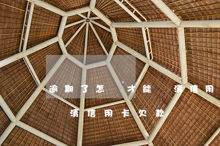 逾期了怎樣才能還清信用卡(逾期了怎樣才能還清信用卡欠款)
