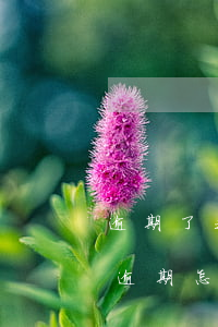 逾期了我么辦信用卡(有一個(gè)信用卡逾期怎么辦)