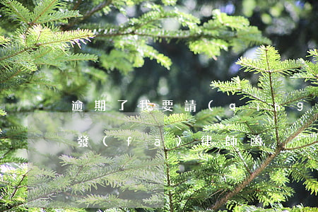 逾期了我要請(qǐng)律師么(逾期了被發(fā)律師函)