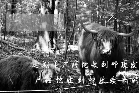 逾期了户籍地收到邮政发来的短信-逾期了户籍地收到邮政发来的短信是真的吗