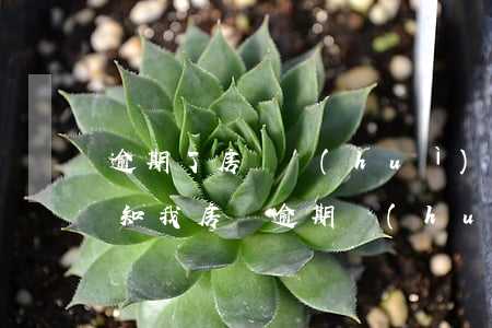 逾期了房貸會(huì)不會(huì)通知我(房貸逾期會(huì)有短信提醒嗎)