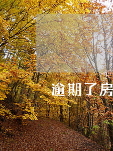 逾期了房貸,逾期了房貸辦得下來嗎 逾期了房貸,逾期了房貸辦得下來嗎