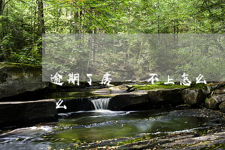逾期了房貸還不上怎么辦(還不了款逾期了怎么辦)