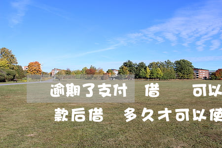 逾期了支付寶借唄還可以用嗎(支付寶逾期還款后借唄多久才可以使用)