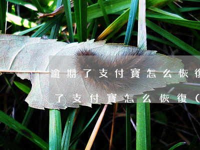 逾期了支付寶怎么恢復(fù)花唄-逾期了支付寶怎么恢復(fù)花唄額度