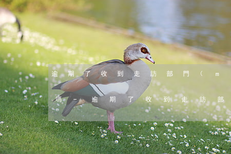 逾期了收到走訪部門(mén)信息是真的嗎-逾期了收到走訪部門(mén)信息是真的嗎嗎