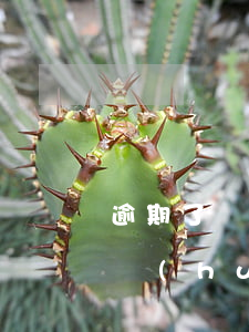 逾期了會(huì)影響微信(支付寶逾期了會(huì)影響微信嗎)