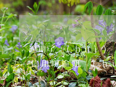 逾期了會(huì)發(fā)短信通知嗎（信用啦逾期會(huì)發(fā)短信提醒嗎）
