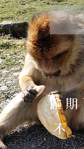 逾期了會不會打運營商中的電話-逾期了會不會打運營商中的電話催收