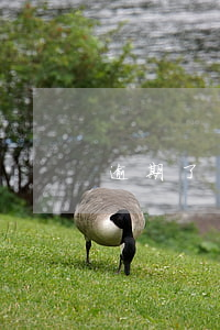 逾期了會影響房貸嗎(貸款逾期會影響房貸嗎)