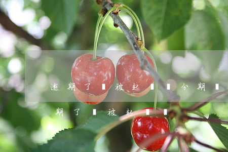 逾期了會被起訴嗎 分期樂欠4000塊錢逾期了會被起訴嗎