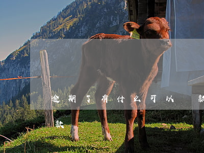 逾期了有什么可以貸款(有逾期哪里還可以貸款)