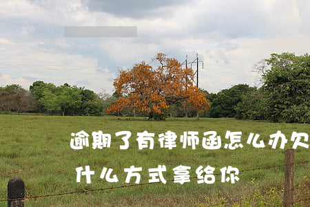 逾期了有律师函怎么办(欠款逾期律师函是用什么方式拿给你)