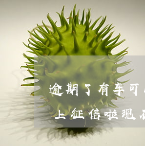 逾期了有车可以办信用卡吗(以前车贷有逾期上征信啦 现在还能办信用卡吗)
