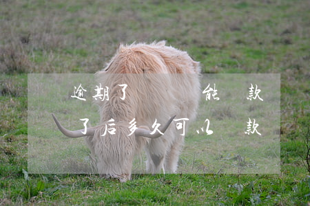 逾期了沒還還能貸款嗎(貸款逾期沒有還,還完了后多久可以貸款)