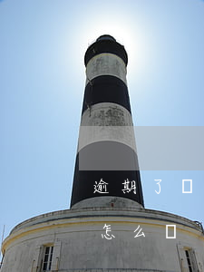 逾期了沒錢花怎么辦(逾期了真的沒有花錢花怎么辦)