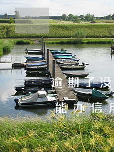 逾期了没还款还能办理信用卡吗(逾期未还还能办信用卡吗)
