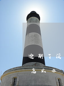 逾期了没钱花怎么办(逾期了真的没有花钱花怎么办)