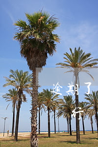 逾期了法院凍結(jié)所有的銀行卡嗎 銀行貸款逾期凍結(jié)所有銀行卡嗎