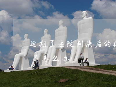 逾期了法院判决后的结果（法院判决罚款逾期了怎么办）
