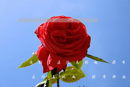 逾期了法院真的起訴你有什么流程-逾期了法院真的起訴你有什么流程嗎