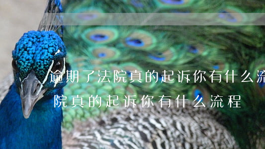 逾期了法院真的起诉你有什么流程 逾期了法院真的起诉你有什么流程
