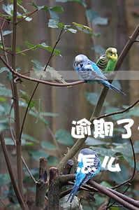 逾期了法院立案了怎么辦 逾期了起訴到法院怎么辦