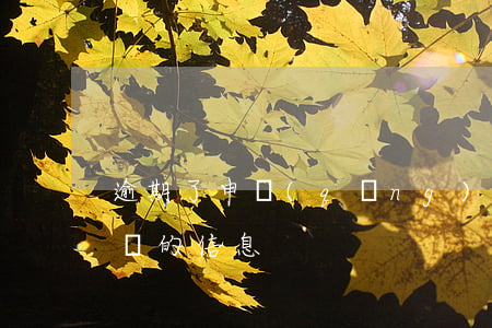 逾期了申請(qǐng)信用卡（信用卡逾期來的信息）