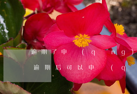 逾期了申請(qǐng)信用卡能通過嗎嗎 逾期后可以申請(qǐng)信用卡嗎