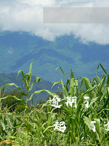 逾期了發(fā)短信說(shuō)我被起訴了（逾期發(fā)短信說(shuō)已經(jīng)起訴）