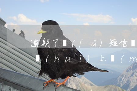 逾期了發(fā)短信說(shuō)某某會(huì)上門(mén)(逾期了發(fā)短信說(shuō)明天要上門(mén)抓捕是真的嗎)