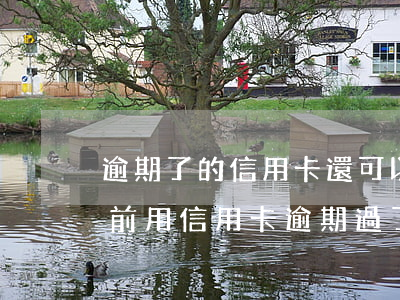 逾期了的信用卡還可以繼續(xù)用嗎 以前用信用卡逾期過了為什么還能辦信用卡