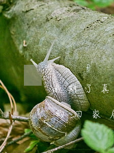 逾期了真的回家居住地查情況嗎-逾期了真的回家居住地查情況嗎怎么查