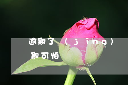 逾期了經(jīng)歷了什么 要逾期了逾期可怕嗎