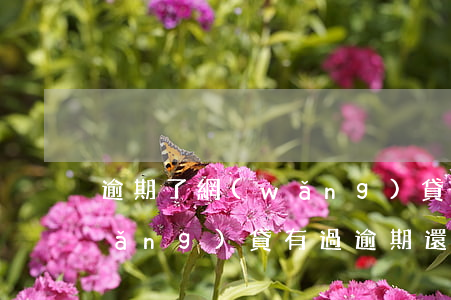 逾期了網(wǎng)貸可以買車嗎(網(wǎng)貸有過逾期還能貸款買車嗎)
