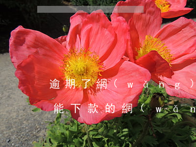 逾期了網(wǎng)貸可以貸款嗎(逾期也能下款的網(wǎng)貸)