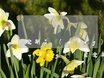 逾期了網(wǎng)貸哪里好再申請(網(wǎng)貸要逾期了怎么辦)
