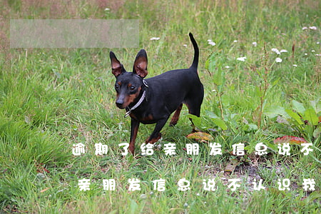 逾期了给亲朋发信息说不认识我-逾期了给亲朋发信息说不认识我怎么办