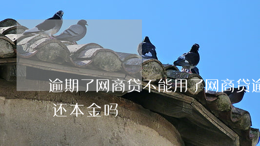 逾期了网商贷不能用了(网商贷逾期可以申请还本金吗)