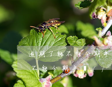 逾期了能不能分期手機(jī)-有逾期能不能分期手機(jī)
