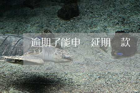 逾期了能申請延期還款(還款可以逾期多久)