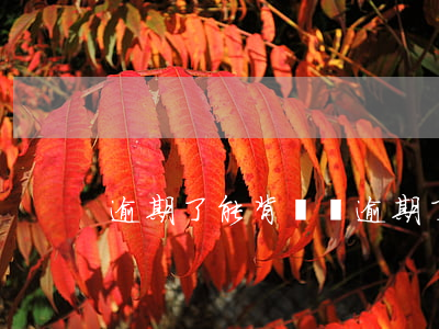 逾期了能背債嗎(逾期了能背債嗎知乎)