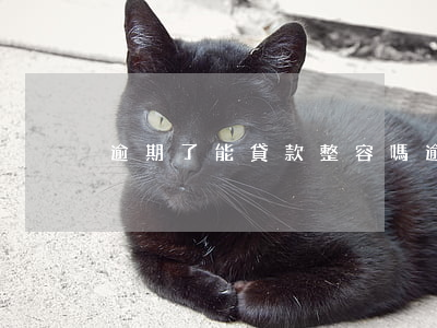 逾期了能貸款整容嗎(逾期了還能不能貸款)