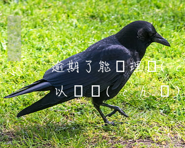 逾期了能辦理車(chē)貸嗎(貸款逾期可以辦車(chē)貸嗎)