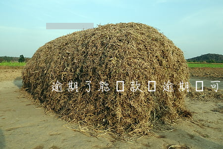 逾期了能還款嗎(逾期還可以借錢嗎)